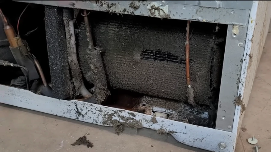 Severely dirty refrigerator condenser coils blocked with dust and pet hair