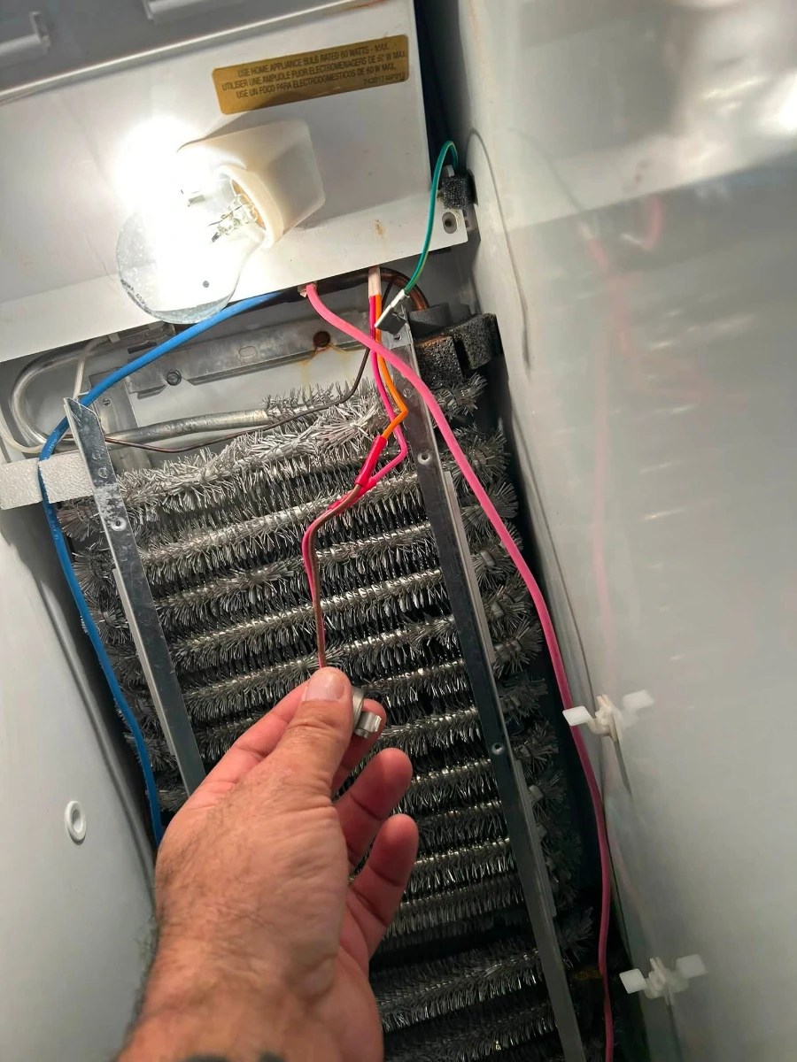 Refrigerator defrost system component visible during service inspection after evaporator panel removal